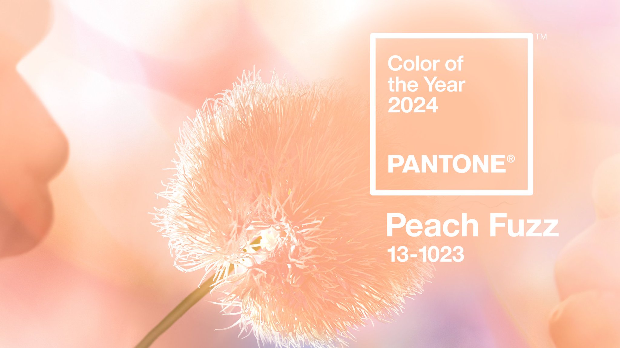 2024 PANTONE COLOR.jpg